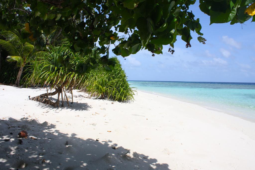 Plumeria Maldives Thinadhoo  Екстериор снимка